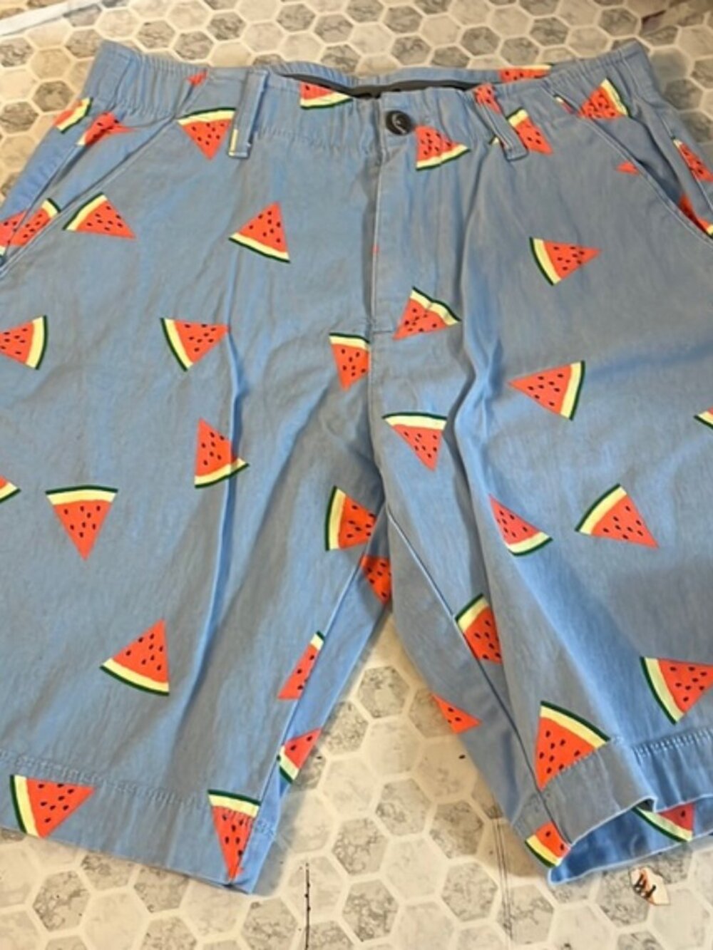 Plugg Flex Sz 29 Blue Watermellon Print Graphic Shorts
